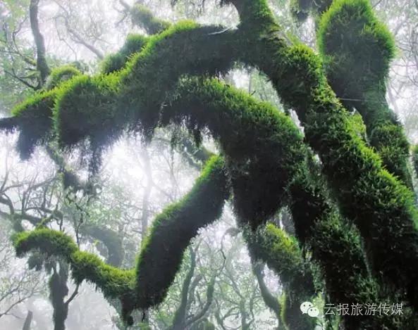 云南纳木错国家公园,云南昆明发现一个超大好玩的公园