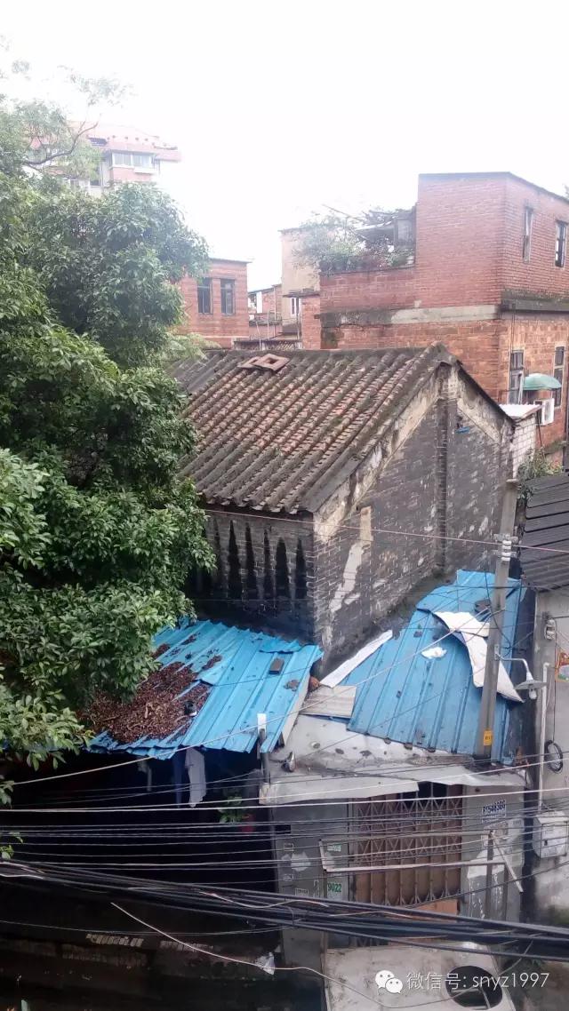 抱着代孕新生儿踏进父母家,同志奶爸瞬间泪崩