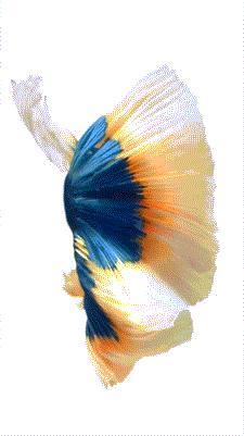 iphone6s和6splus运行速度对比,iphone6s和iphone6splus拍照的区别