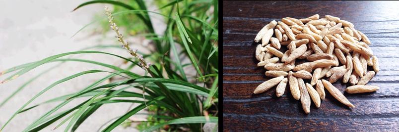 朱砂中毒解毒,古代朱砂有毒吗