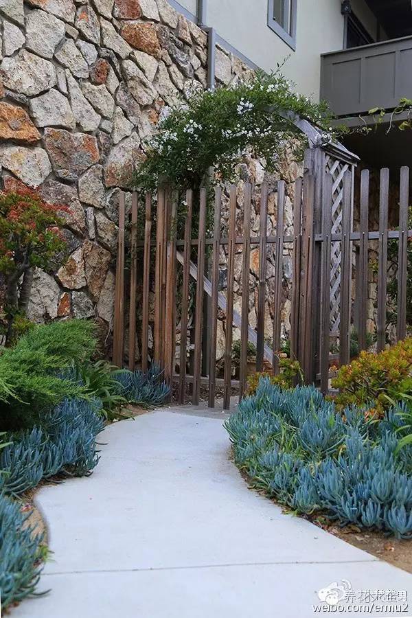 必看｜台湾是中国的，多肉是世界的！