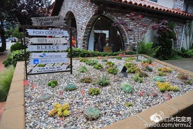 必看｜台湾是中国的，多肉是世界的！