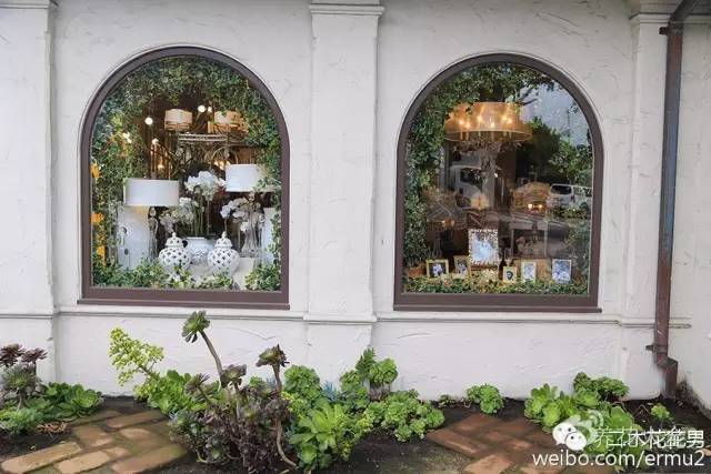 必看｜台湾是中国的，多肉是世界的！