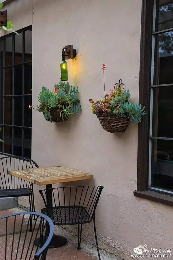 必看｜台湾是中国的，多肉是世界的！