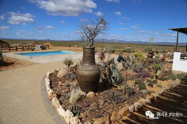 必看｜台湾是中国的，多肉是世界的！