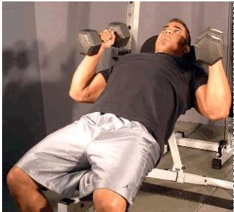 徒手健身哑铃视频,哑铃动作图解教你健身