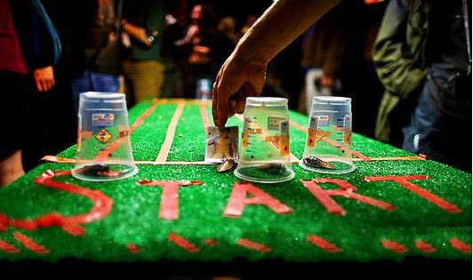 史上最奇葩的体育赛事,世界趣味体育赛事