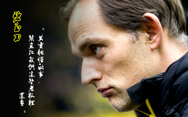 本赛季多特蒙德实力如何,多特蒙德本赛季的表现