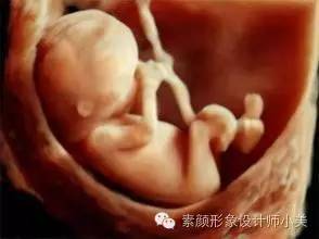 孕育小课堂,孕育课