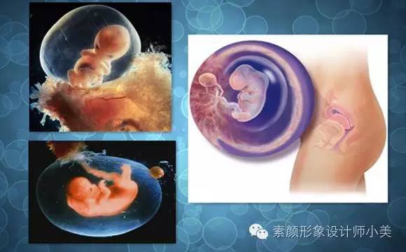 孕育小课堂,孕育课