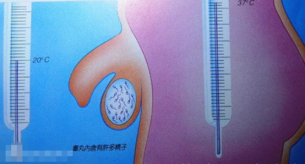 儿童性教育启蒙问题家长如何应对,教育孩子尴尬的事情