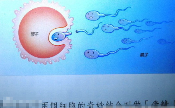 儿童性教育启蒙问题家长如何应对,教育孩子尴尬的事情