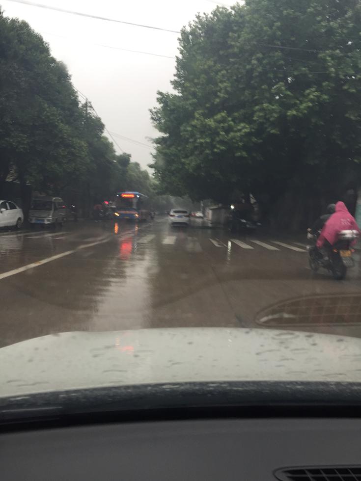 野钓风浪大钓鳊鱼,仲春如何野钓鳊鱼