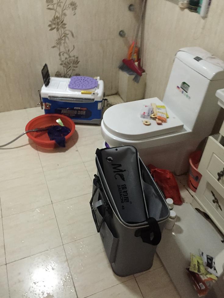 野钓风浪大钓鳊鱼,仲春如何野钓鳊鱼