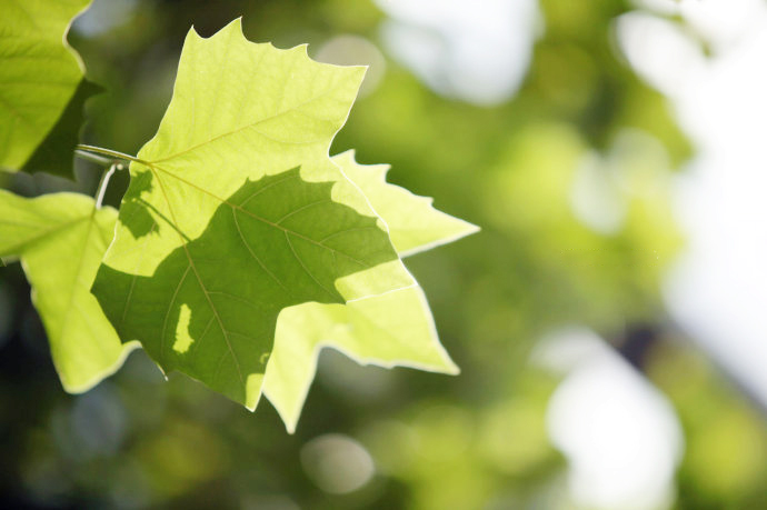 糖尿病患者夏天注意什么防脱水,糖尿病患者夏季控制血糖注意事项
