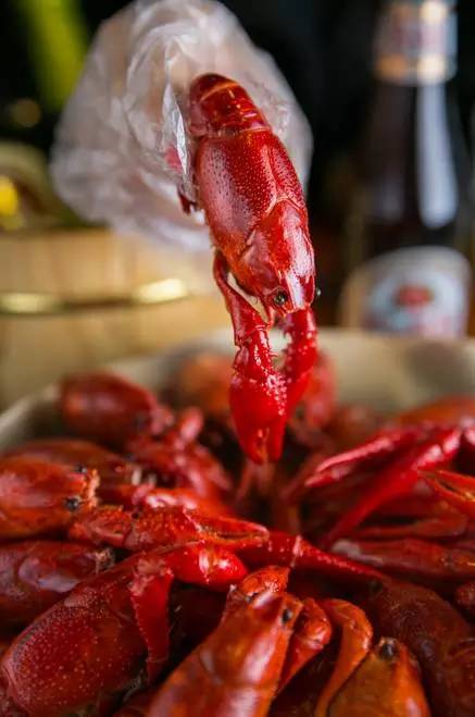 上海有名的网红小龙虾,魔都网红小龙虾
