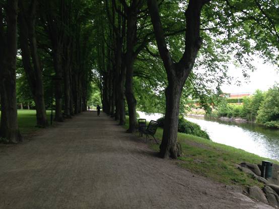 施华洛世奇白天鹅10年,马尔默全集完整版