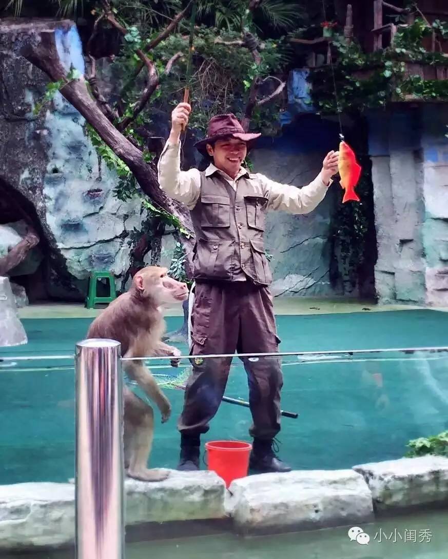 带孩子广州长隆旅游攻略,长隆动物乐园多长时间可以逛完