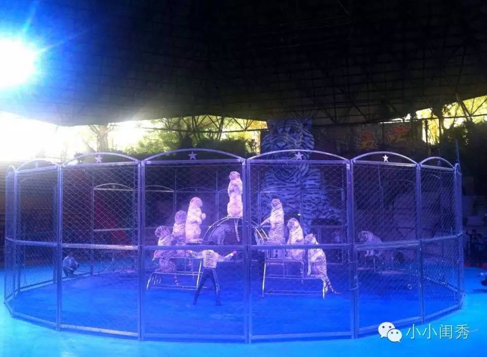 带孩子广州长隆旅游攻略,长隆动物乐园多长时间可以逛完