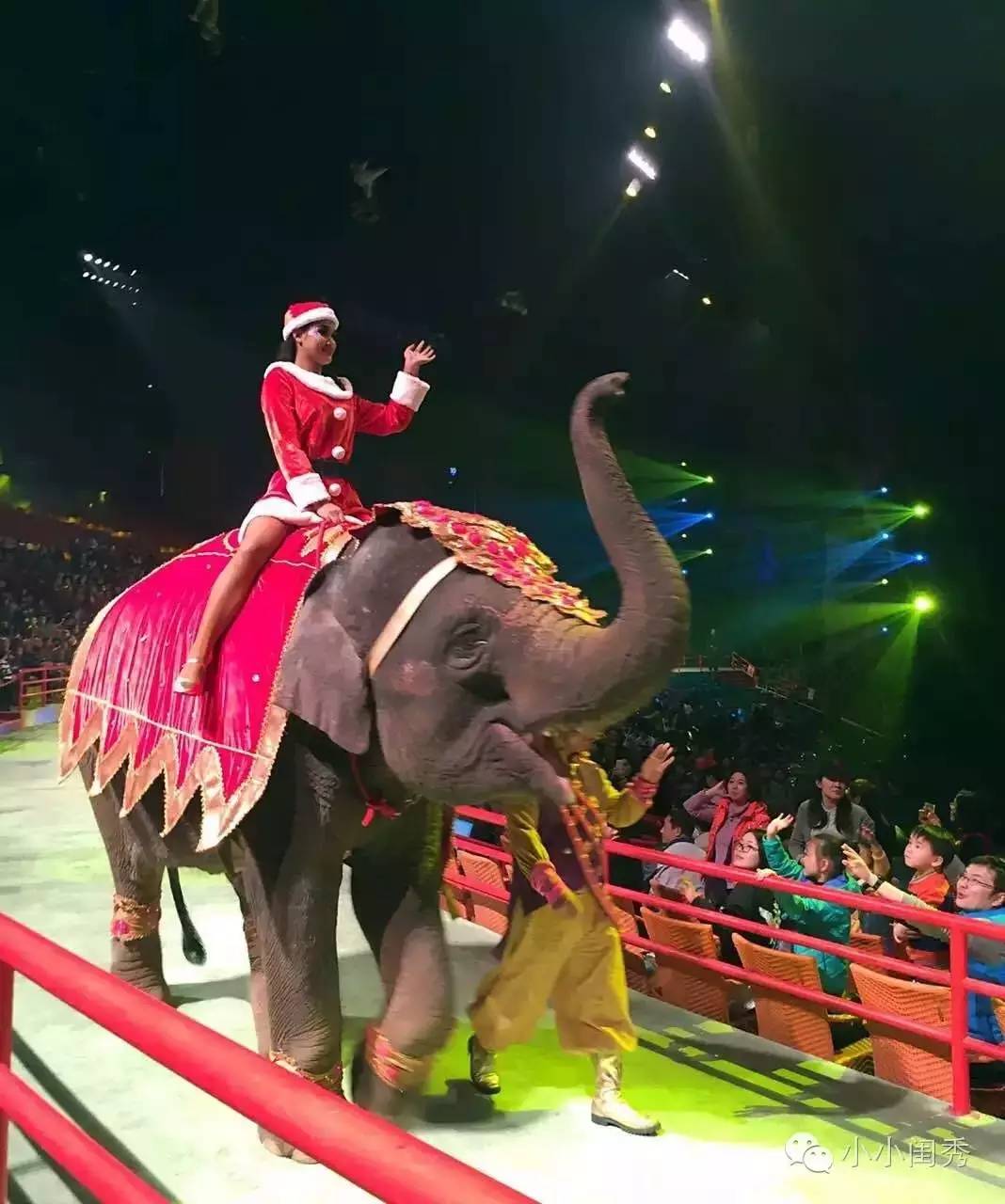 带孩子广州长隆旅游攻略,长隆动物乐园多长时间可以逛完