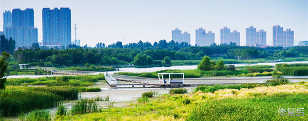 城市双修是什么,城市双修纪实