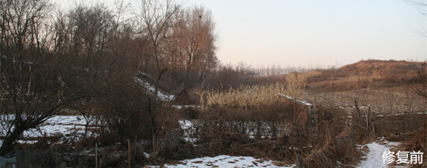 城市双修是什么,城市双修纪实