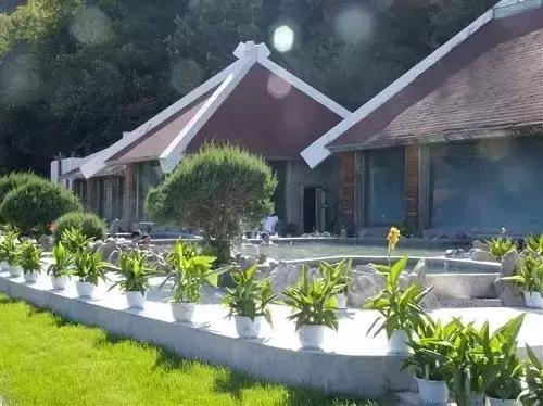 夏日乐悠最新视频,夏日乐悠游