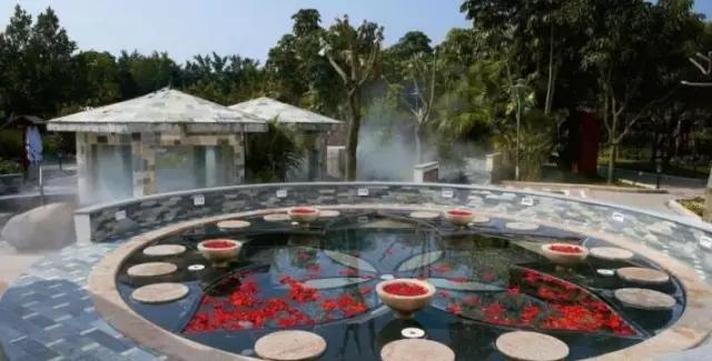 夏日乐悠最新视频,夏日乐悠游