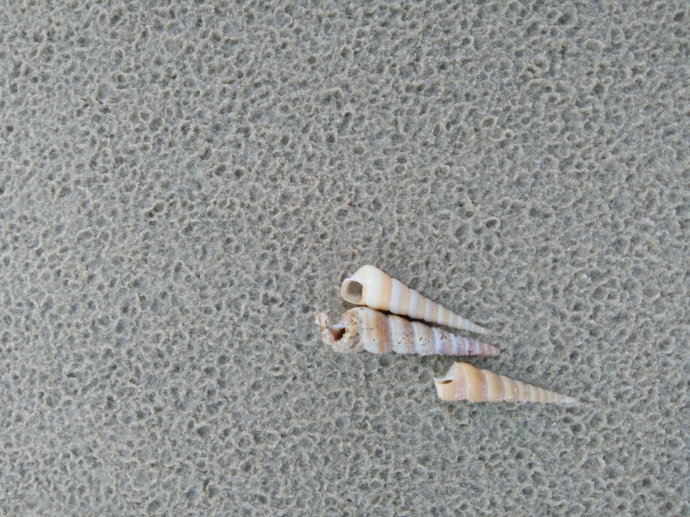 越南海滨度假城市,越南头顿海边