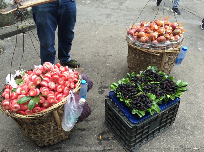 鼓浪屿自驾游全攻略,厦门鼓浪屿登岛全攻略