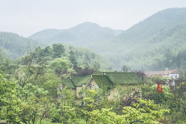 养在深闺里无人知,养在深闺无人识全文