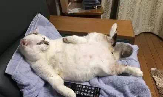 媲美影院般的观影体验,媲美电影院的家庭影院电视机