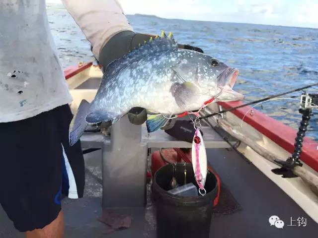 在荒蛮的世界尽头追猎“怪物”