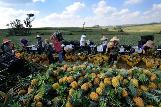寰愰椈鑿犺悵浜嬩欢,寰愰椈鑿犺悵浜嬩欢瑙ｆ瀽