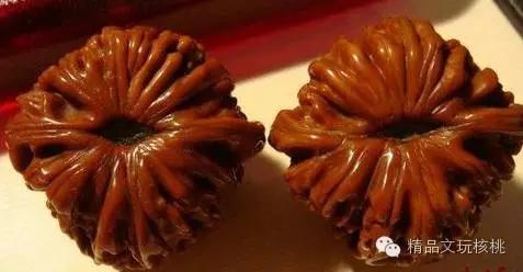 文玩核桃尾脐图案,文玩核桃尾脐特别硬