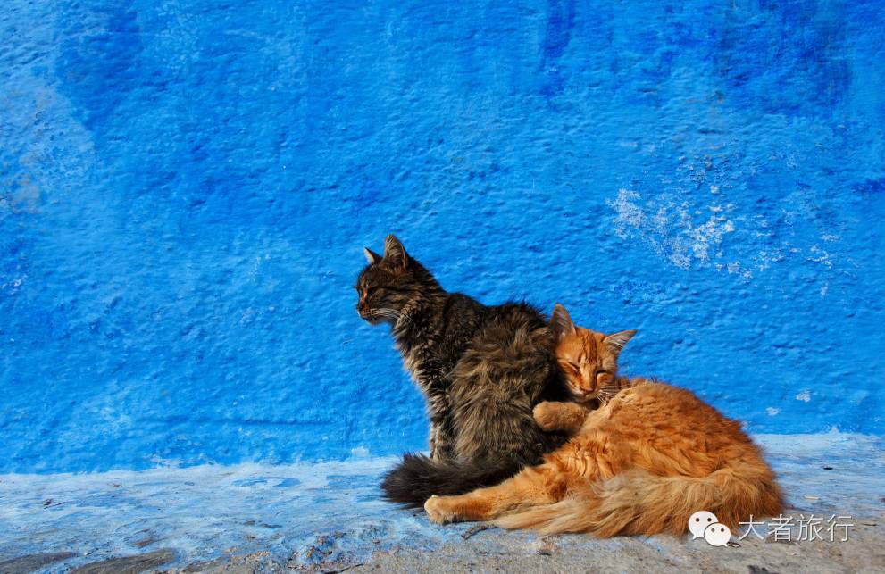 摩洛哥蓝是孔雀蓝吗,有一种蓝叫巴黎蓝