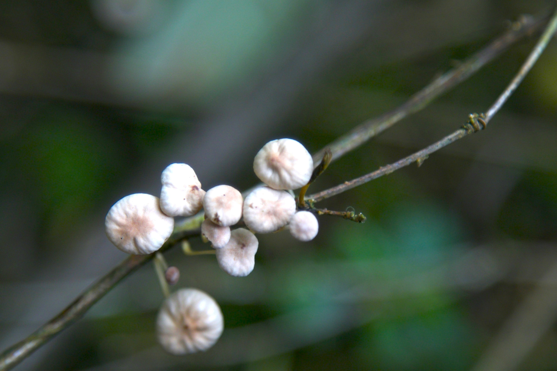 爱旅游爱生活幸福快乐每一天,爱旅游爱生活爱阅读
