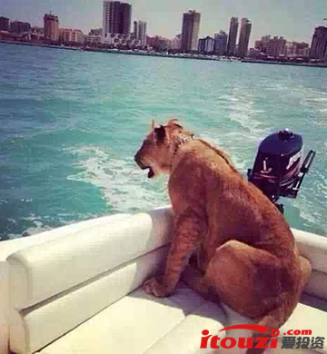 遍地土豪的迪拜,土豪遍地的迪拜