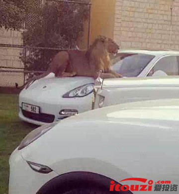 遍地土豪的迪拜,土豪遍地的迪拜