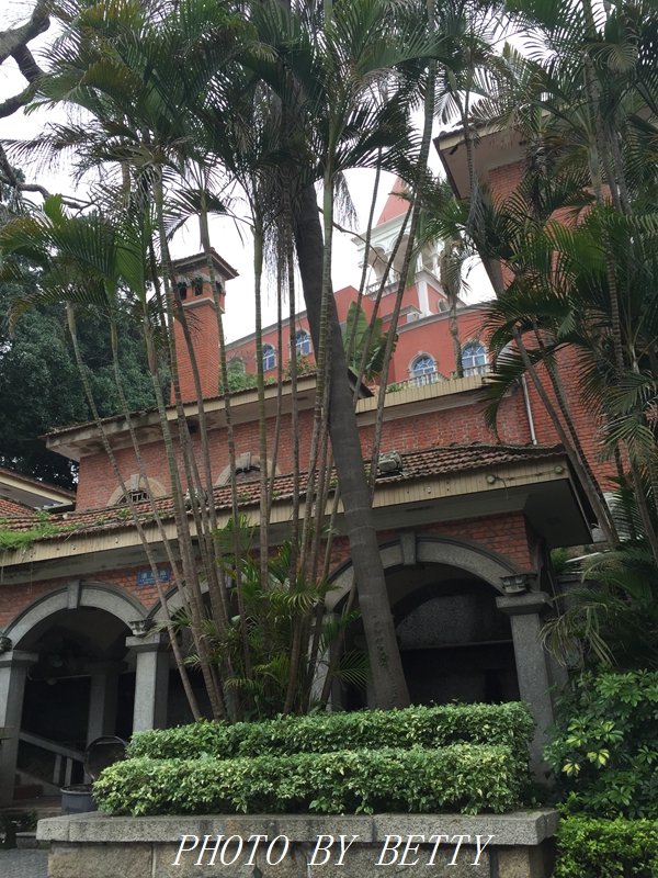 厦门鼓浪屿旅游攻略,厦门开车自驾游攻略