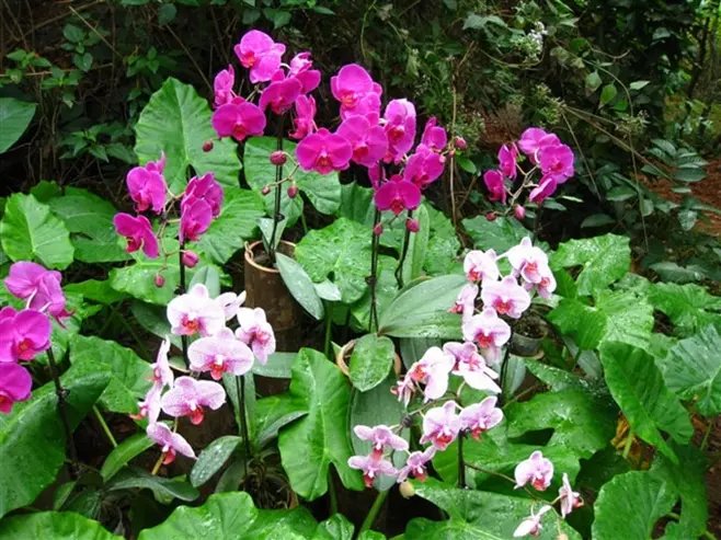 三亚远山大海蓝天白云,爱在三亚拉丁舞