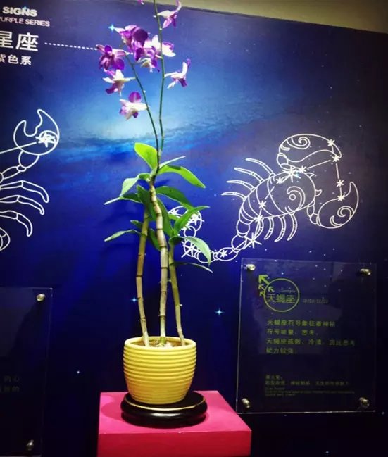 三亚远山大海蓝天白云,爱在三亚拉丁舞