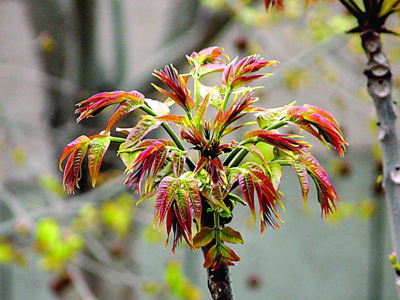 不看不晓得,不看不知道