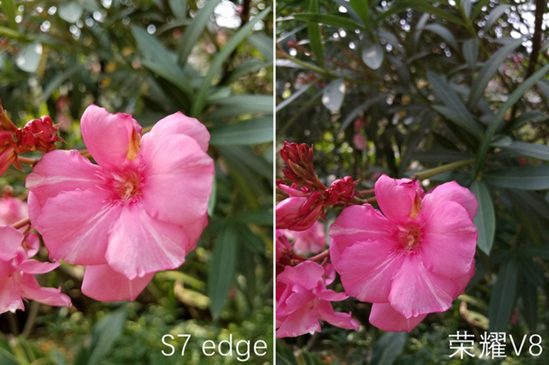 荣耀v8的优点和缺点,荣耀v8全方位测评