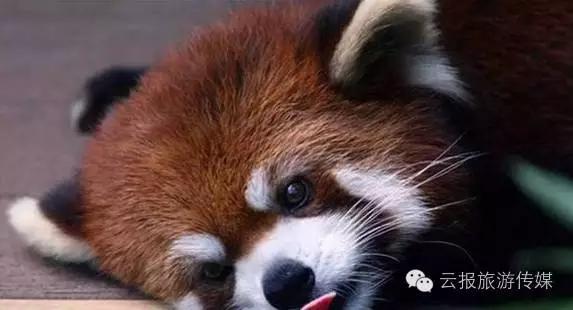 云南纳木错国家公园,云南昆明发现一个超大好玩的公园