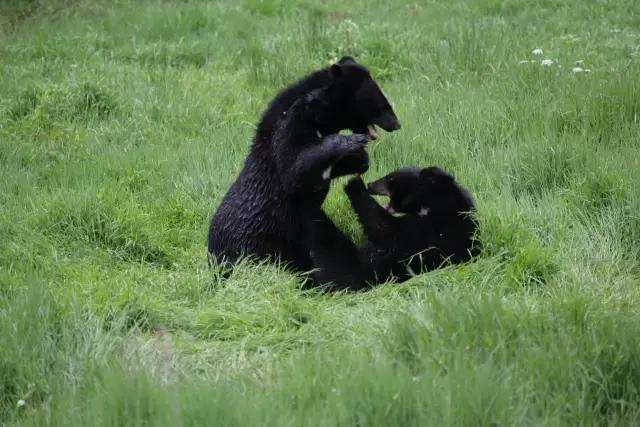 云南纳木错国家公园,云南昆明发现一个超大好玩的公园