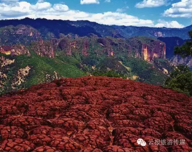 云南纳木错国家公园,云南昆明发现一个超大好玩的公园