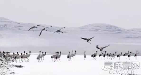 云南纳木错国家公园,云南昆明发现一个超大好玩的公园