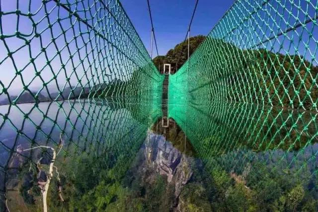 重庆生物地理答案,重庆水土生物研究