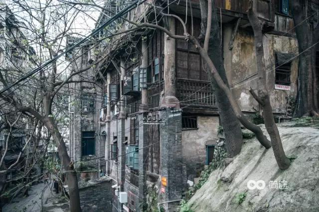 重庆生物地理答案,重庆水土生物研究